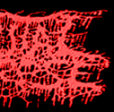 BRUTAL CORPSE