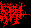DEATH VOMIT